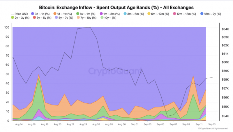 
			92% биткоинов на криптобиржи отправляют краткосрочные держатели		