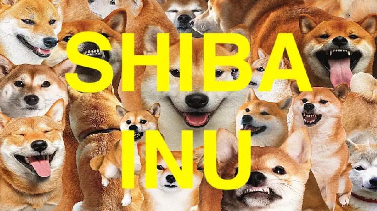 
			Команда Shiba Inu: Мы не связаны с «женским токеном» SHEB		