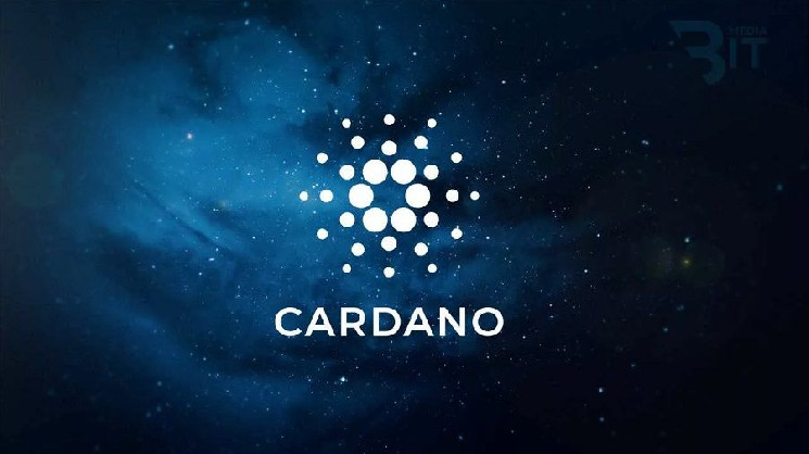 
			Транзакции со смарт-контрактами в сети Cardano выросли на 30%		