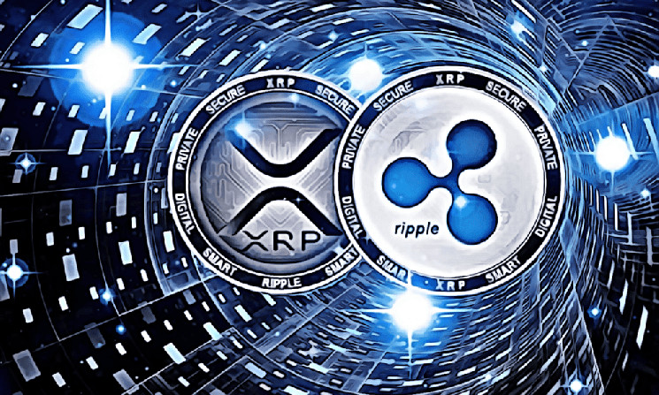 
			Технический директор Ripple высмеял SEC		